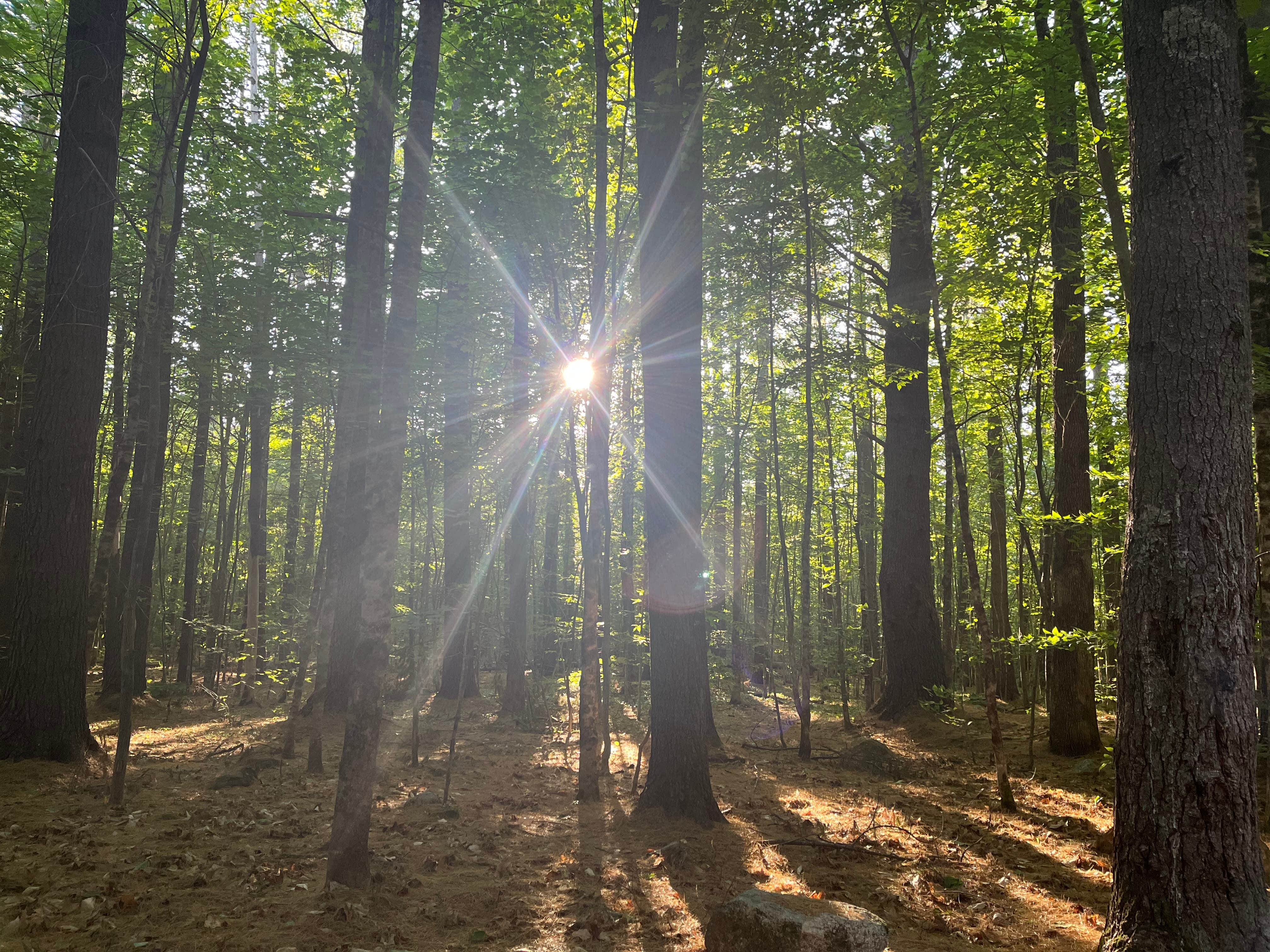 Camper-submitted photo at Cold River near West Bethel, ME