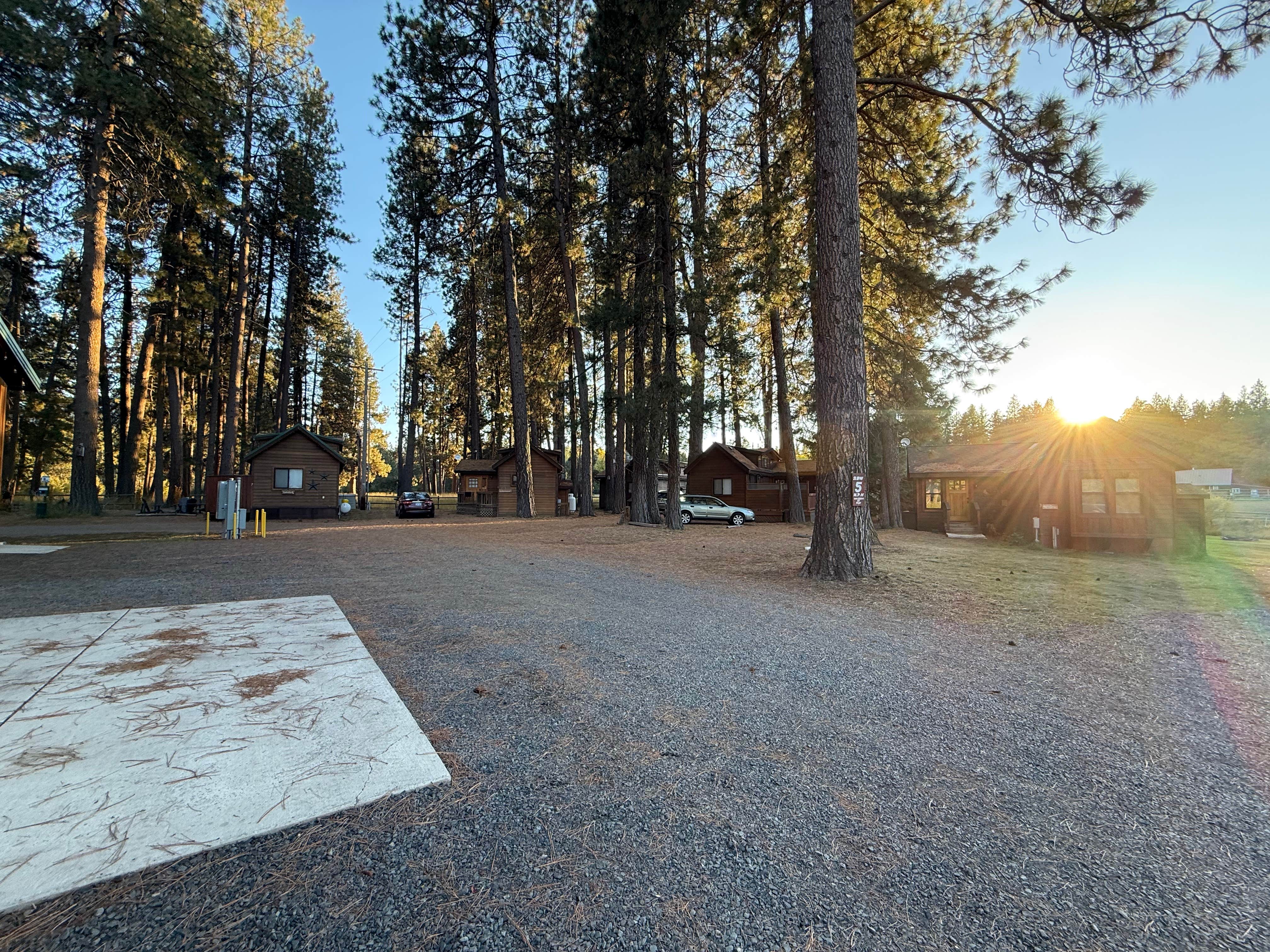 Camper submitted image from Cold Springs Resort - 4