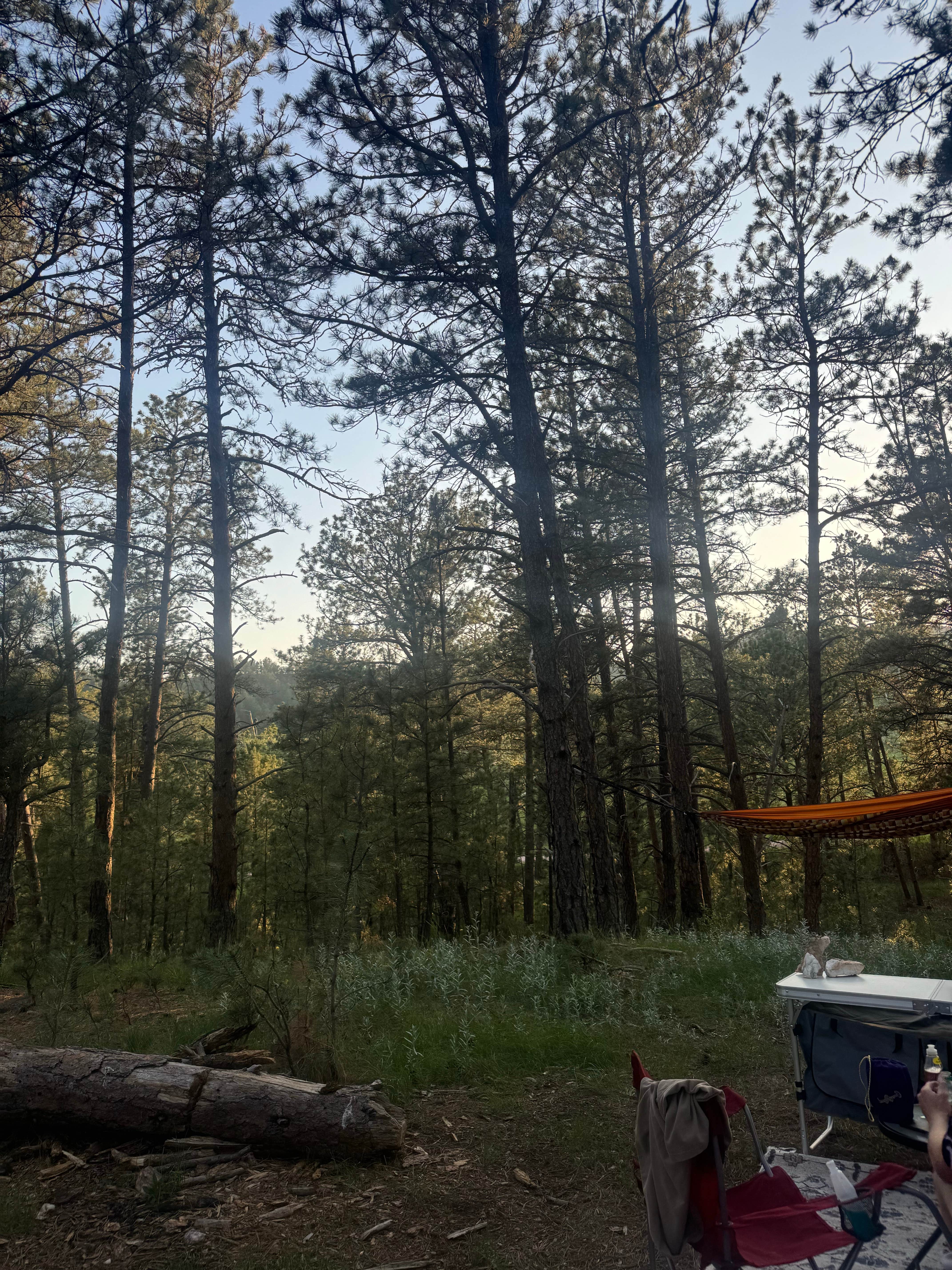 Camper-submitted photo at Cold Springs School Road by Beaver Creek near Hot Springs, SD