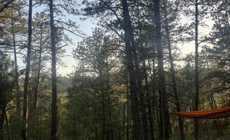 Kaelyn H.'s photo at Cold Springs School Road by Beaver Creek near Wind Cave National Park