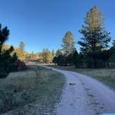 Review photo of Cold Springs School Road by Beaver Creek by Nicole L., October 2, 2025