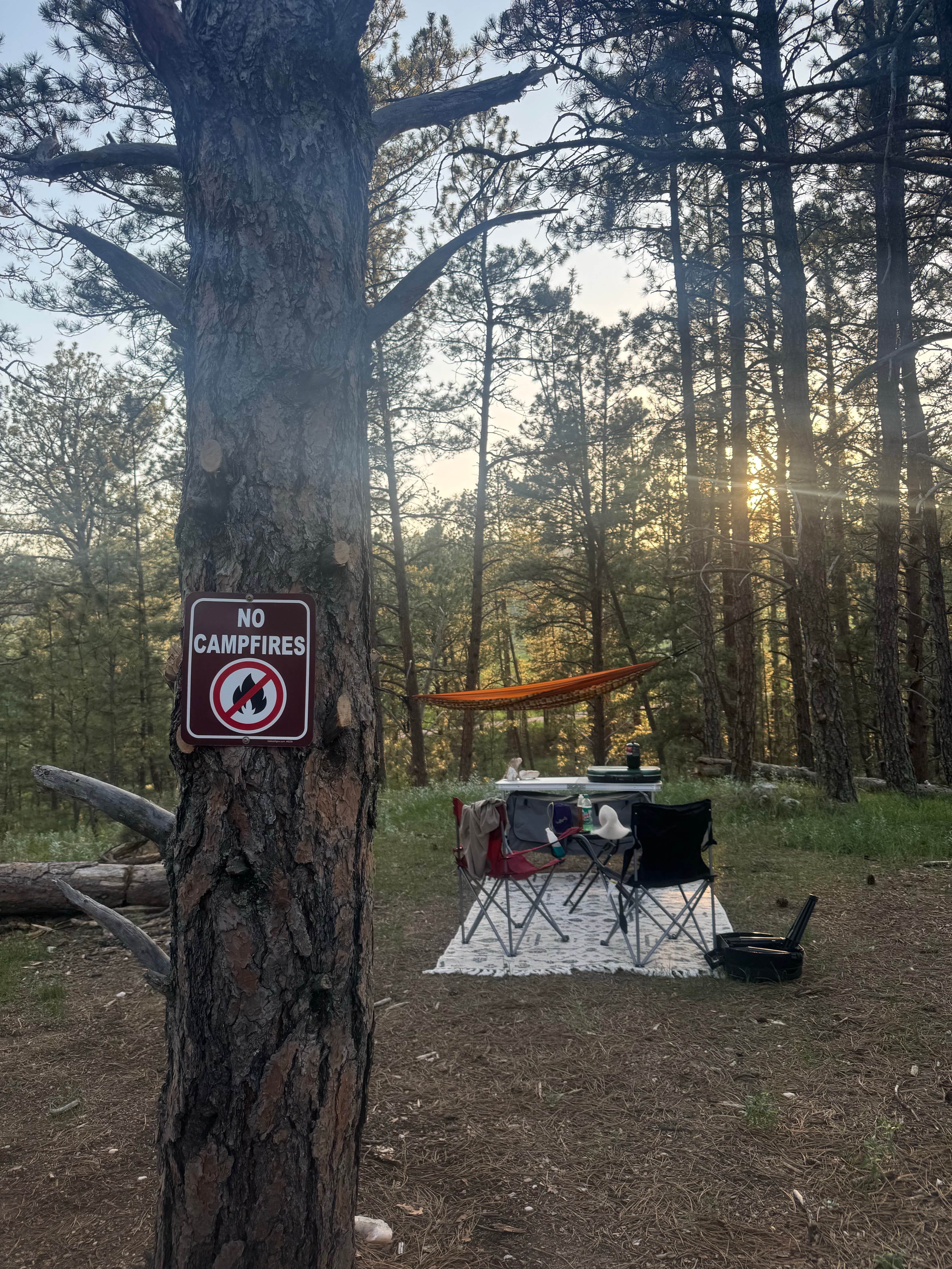 Camper submitted image from Cold Springs School Road by Beaver Creek - 1