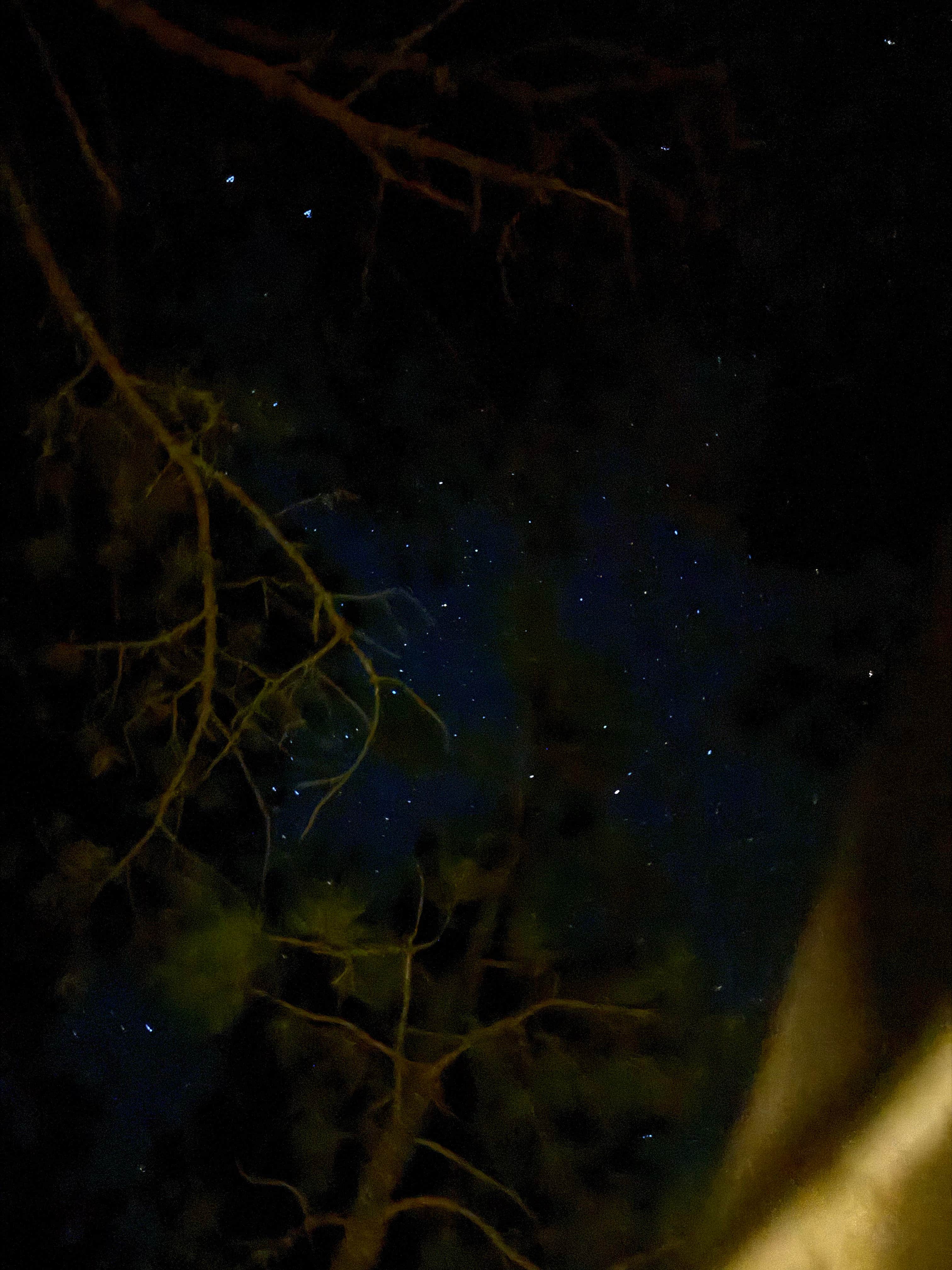 Camper-submitted photo at Cold Springs School Road by Beaver Creek near Hot Springs, SD