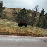 Review photo of Cold Springs School Road by Beaver Creek by Bill C., May 9, 2026