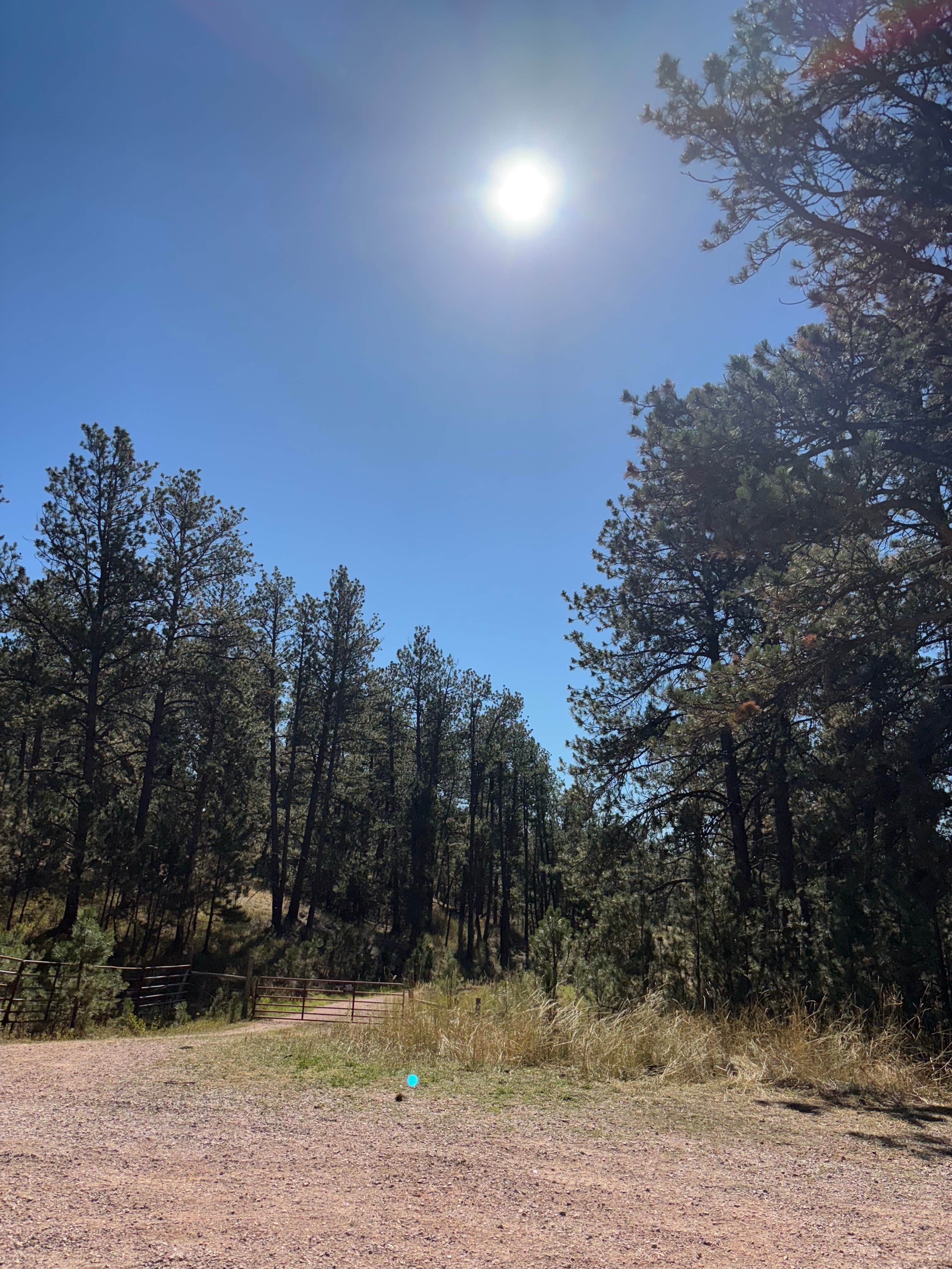 Nicole L.'s photo of a dispersed camping area at Cold Springs School Road by Beaver Creek near Hot Springs, SD