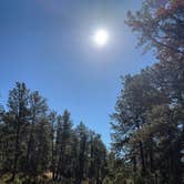 Review photo of Cold Springs School Road by Beaver Creek by Nicole L., October 2, 2025