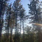 Review photo of Cold Springs School Road by Beaver Creek by Kaelyn H., June 22, 2025