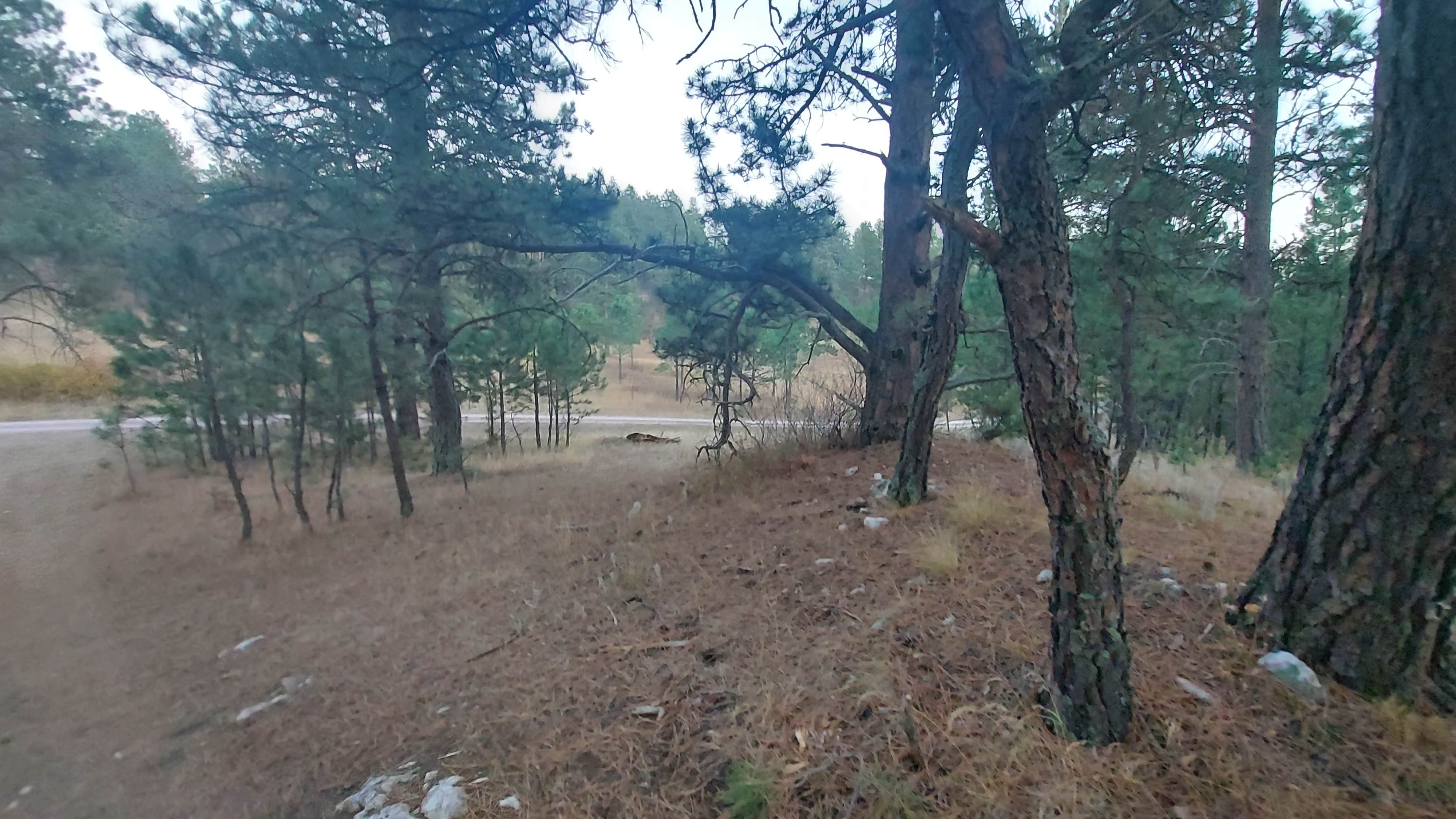 Camper-submitted photo at Cold Springs School Road by Beaver Creek near Hot Springs, SD