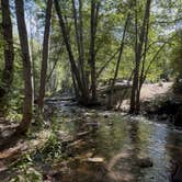 Review photo of Coldbrook Campground by Pamela A., July 21, 2026