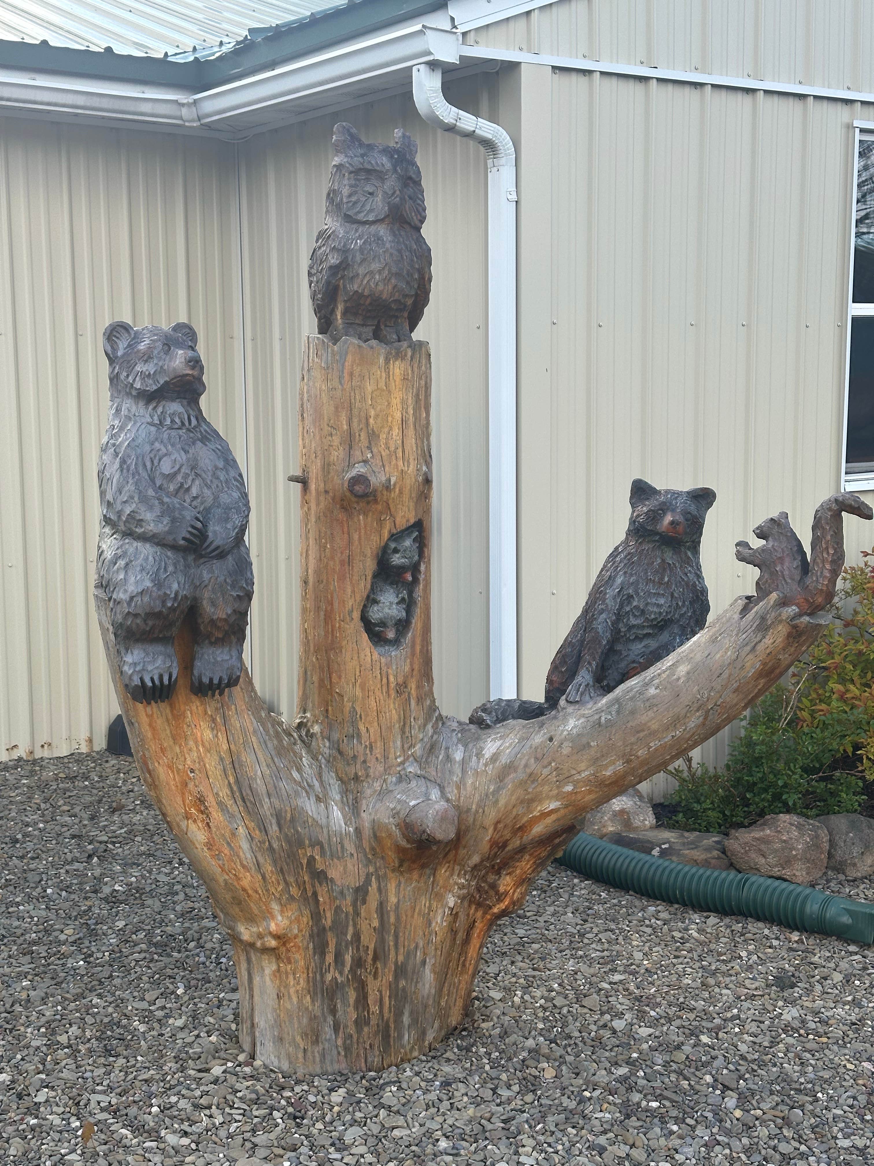 Camper submitted image from Colden Lakes Resort - 2