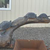 Review photo of Colden Lakes Resort by Michi P., May 9, 2025