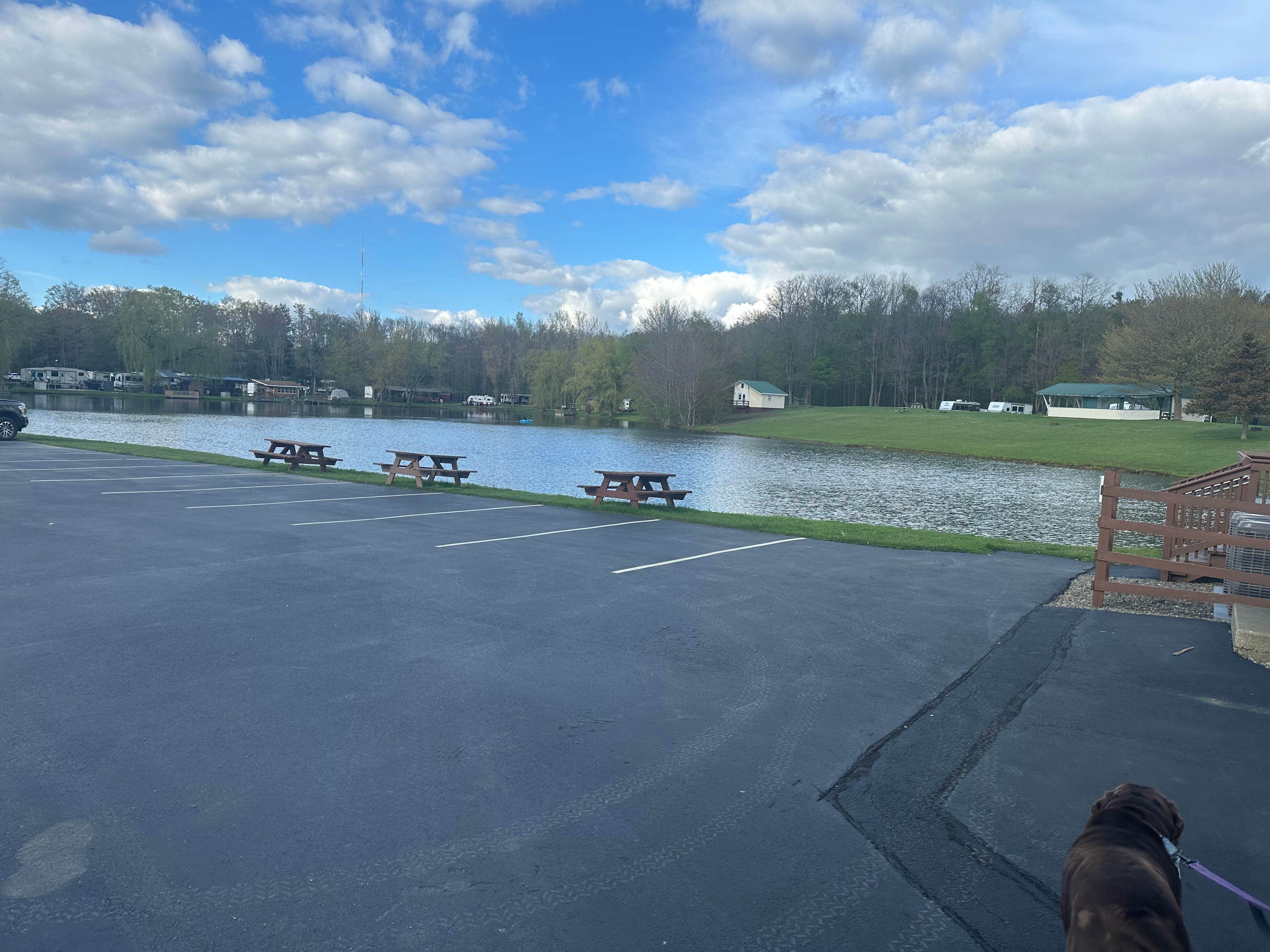 Michi P.'s photo of camping with pets at Colden Lakes Resort near Darien Center, NY