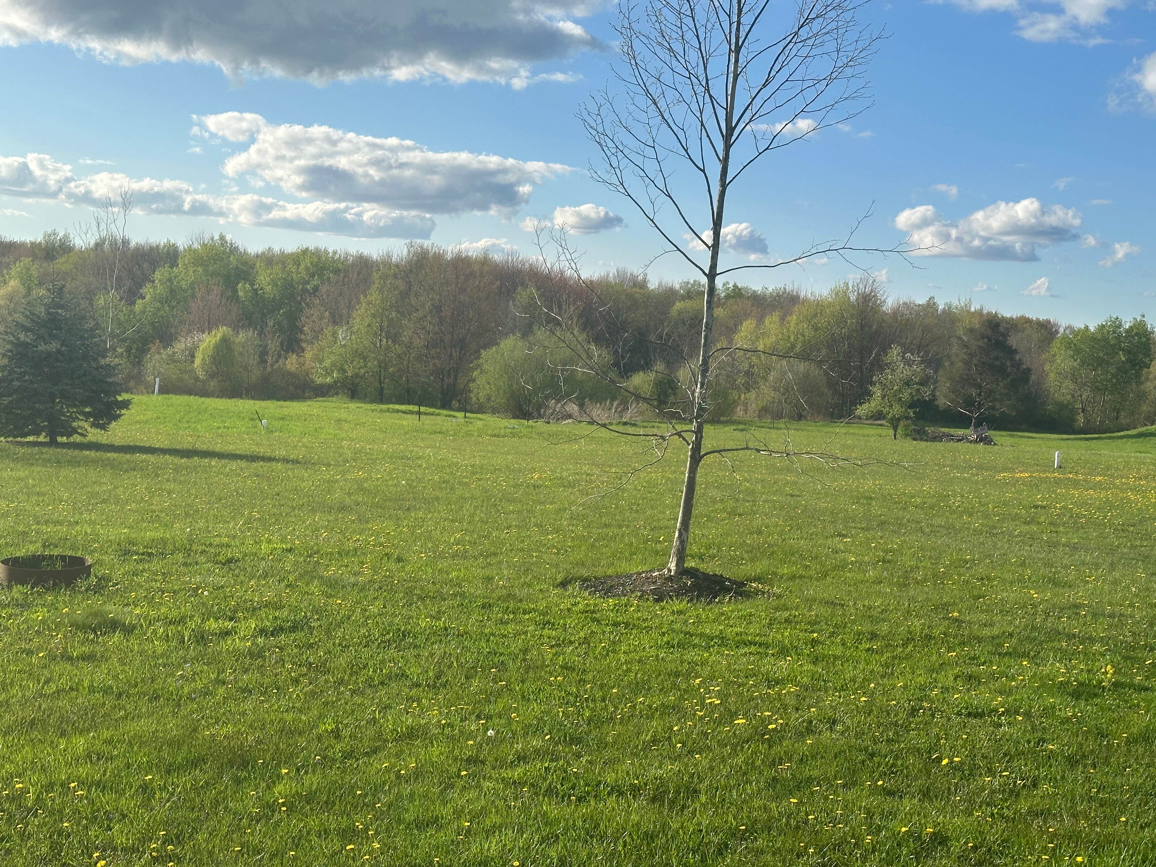 Camper-submitted photo at Colden Lakes Resort near Java Center, NY