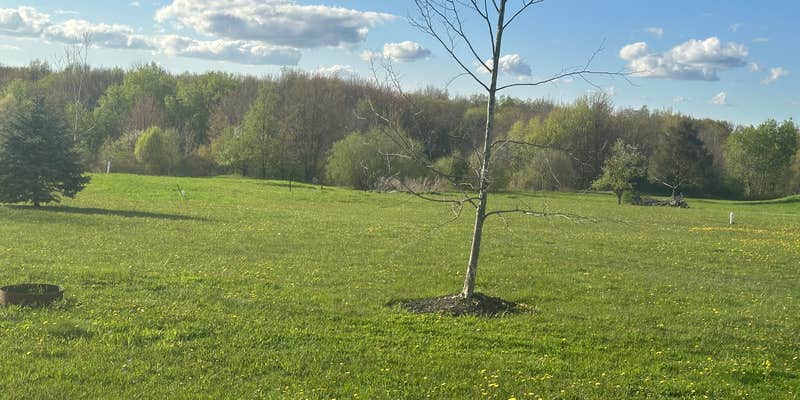 Camper submitted image from Colden Lakes Resort