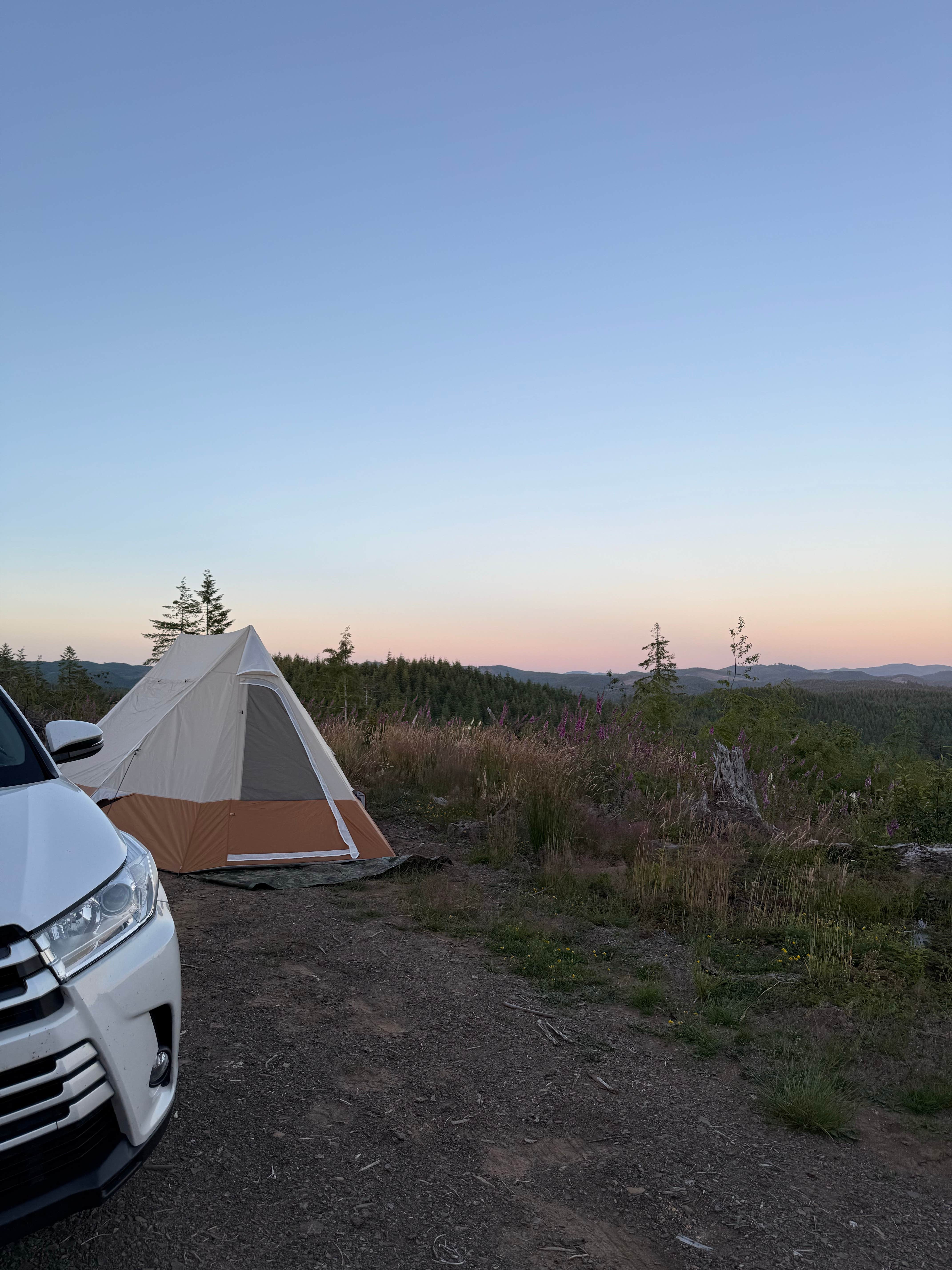 Camper submitted image from Cole Mt Ridge - 1