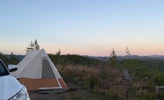 Hannah H.'s photo of a dispersed camping area at Cole Mt Ridge near Clatskanie, OR