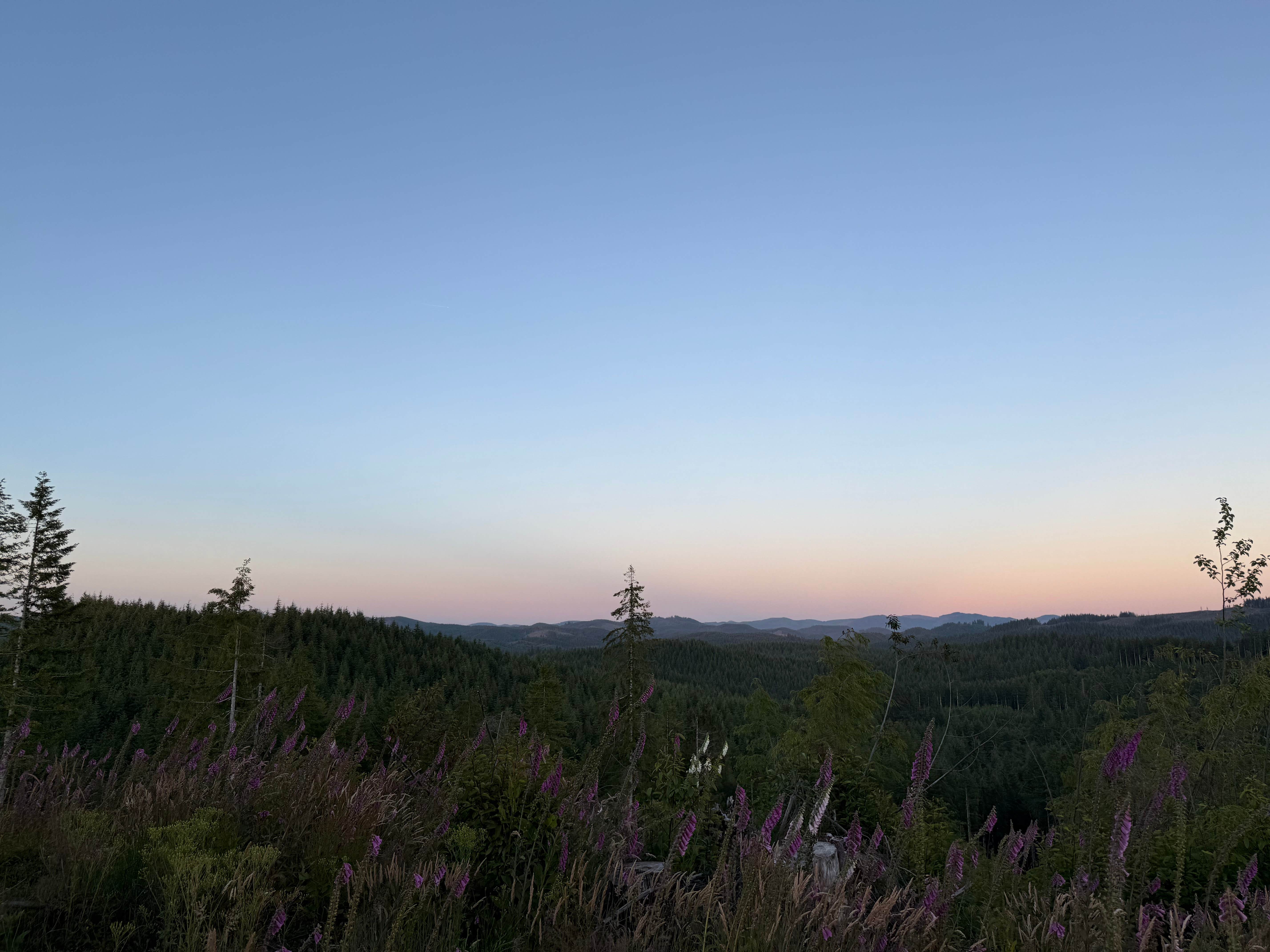 Camper-submitted photo at Cole Mt Ridge near Buxton, OR