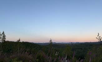 Hannah H.'s photo of a dispersed camping area at Cole Mt Ridge near St. Helens, OR