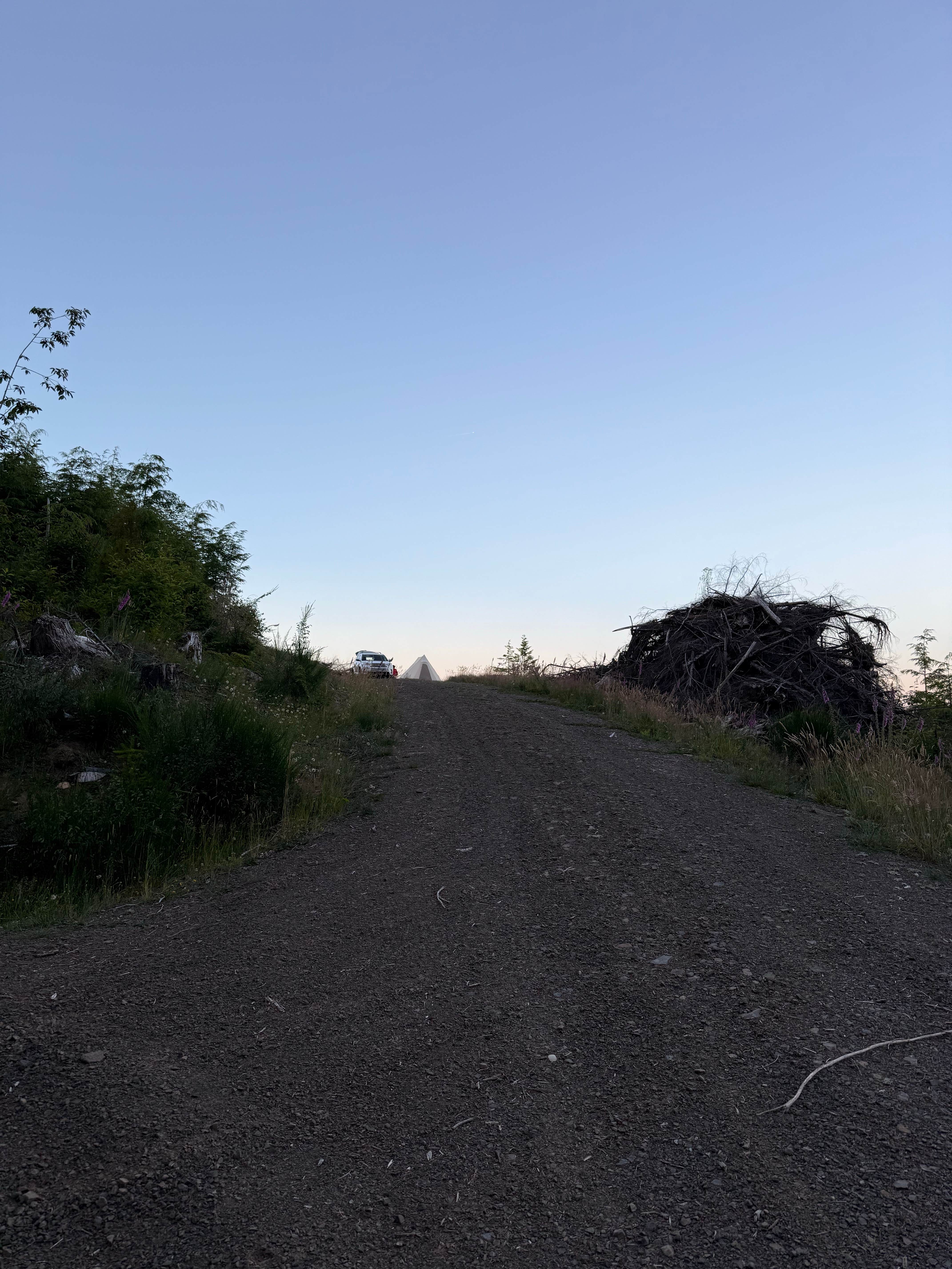 Camper submitted image from Cole Mt Ridge - 2