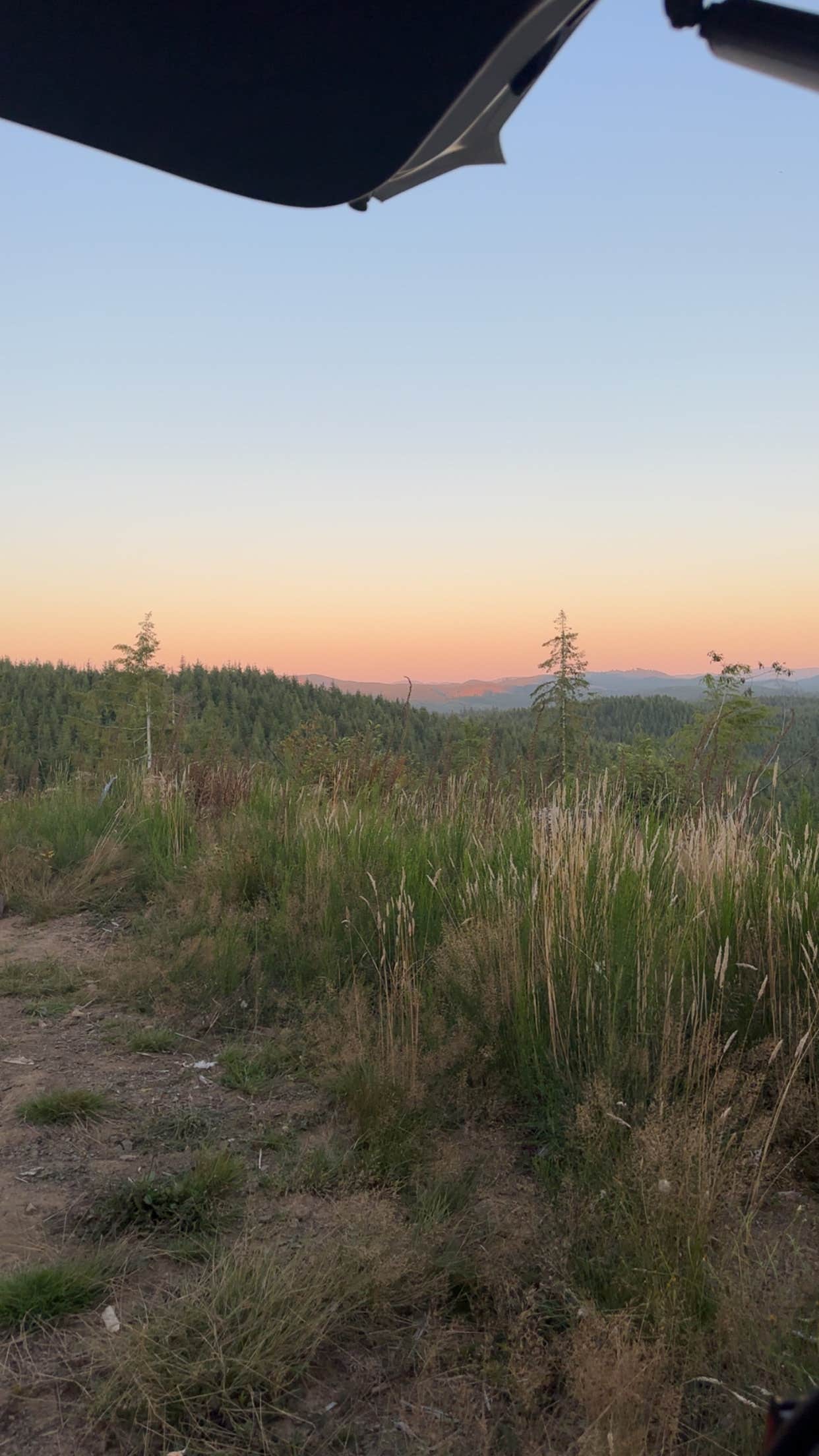Brianna S.'s photo of a dispersed camping area at Cole Mt Ridge near Hillsboro, OR