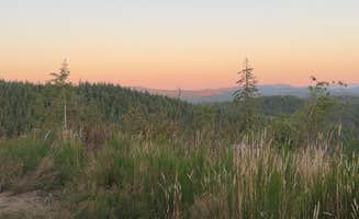 Brianna S.'s photo of a dispersed camping area at Cole Mt Ridge near Seaside, OR