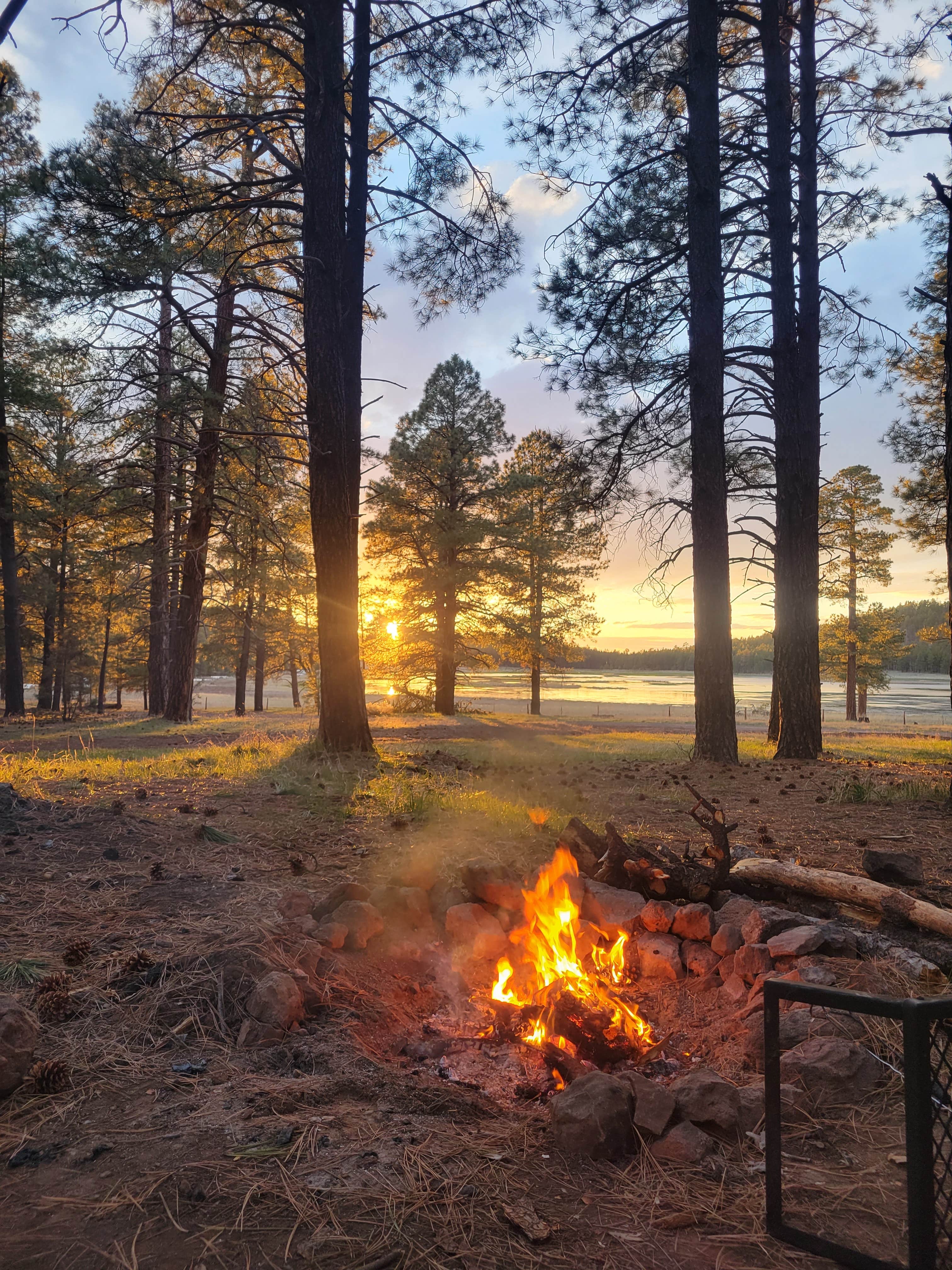 Camper-submitted photo at Coleman Lake Camp near Williams, AZ
