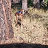 Review photo of Coleman Lake Camp by Sheri C., October 2, 2025
