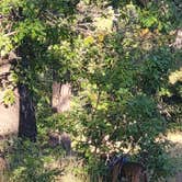 Review photo of Coleman Lake Camp by Sheri C., October 2, 2025