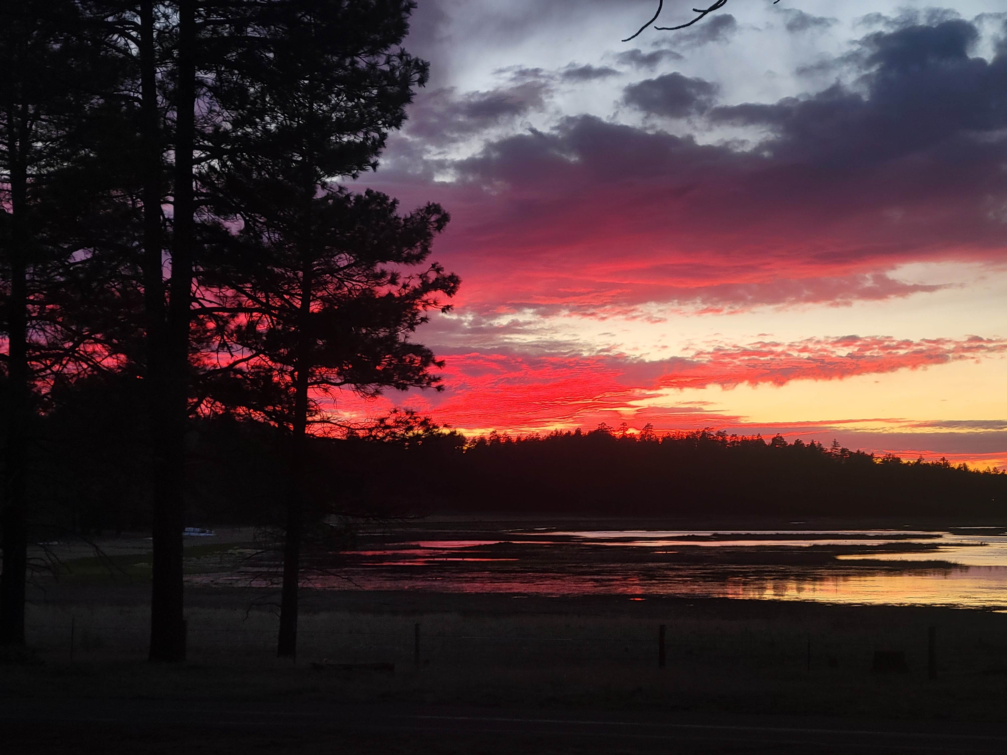 Camper submitted image from Coleman Lake Camp - 1