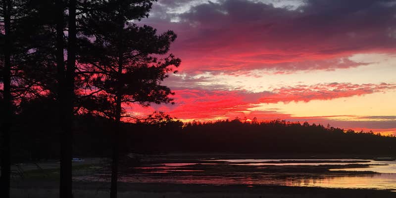 Camper submitted image from Coleman Lake Camp