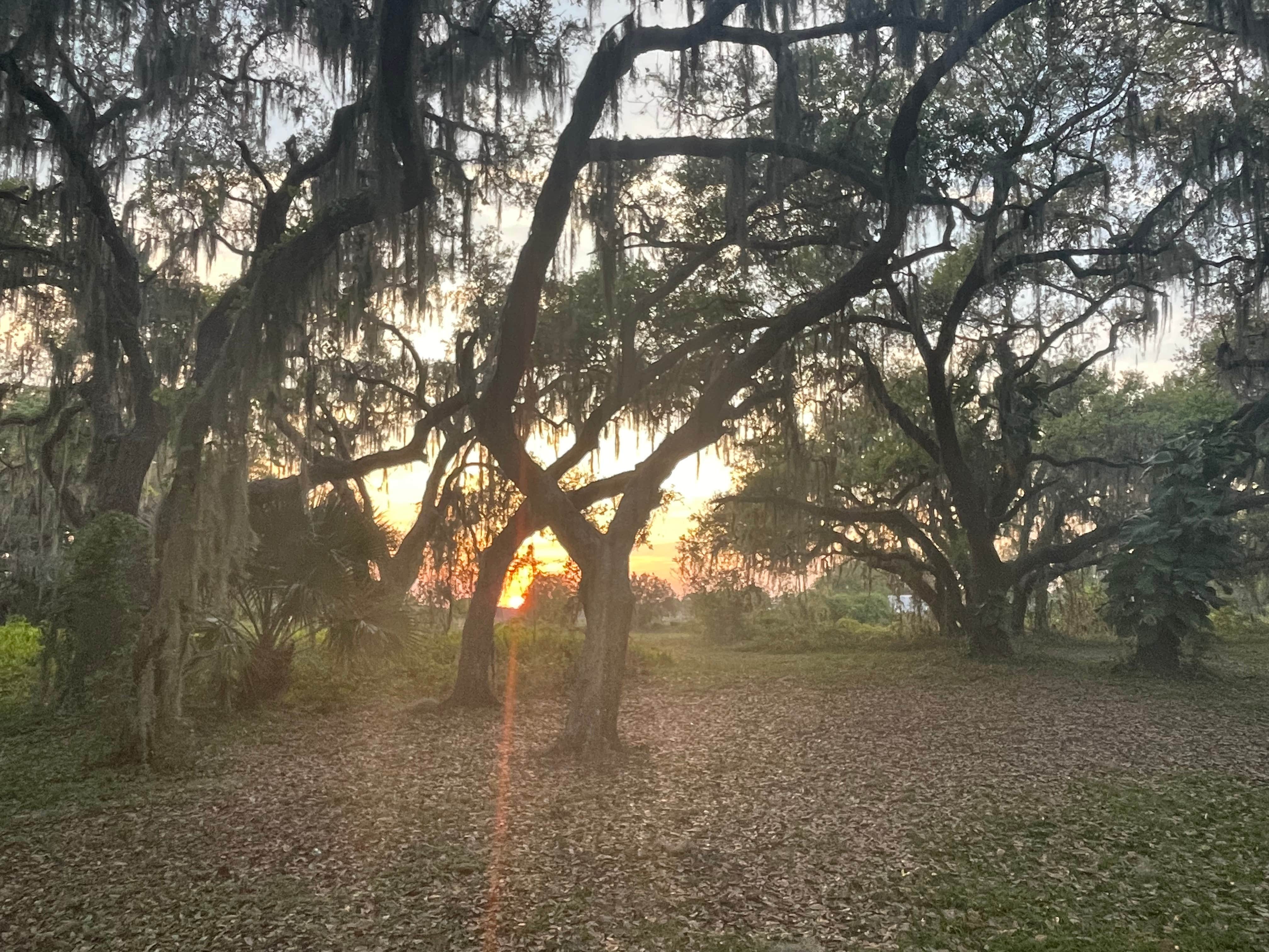 Camper-submitted photo at Coleman Landing at Shady Oaks near Nalcrest, FL
