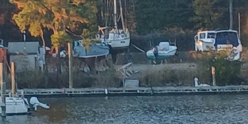 Camper submitted image from Coles Point Marina