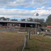 Review photo of Coles Point Marina by Vidalia S., November 10, 2025