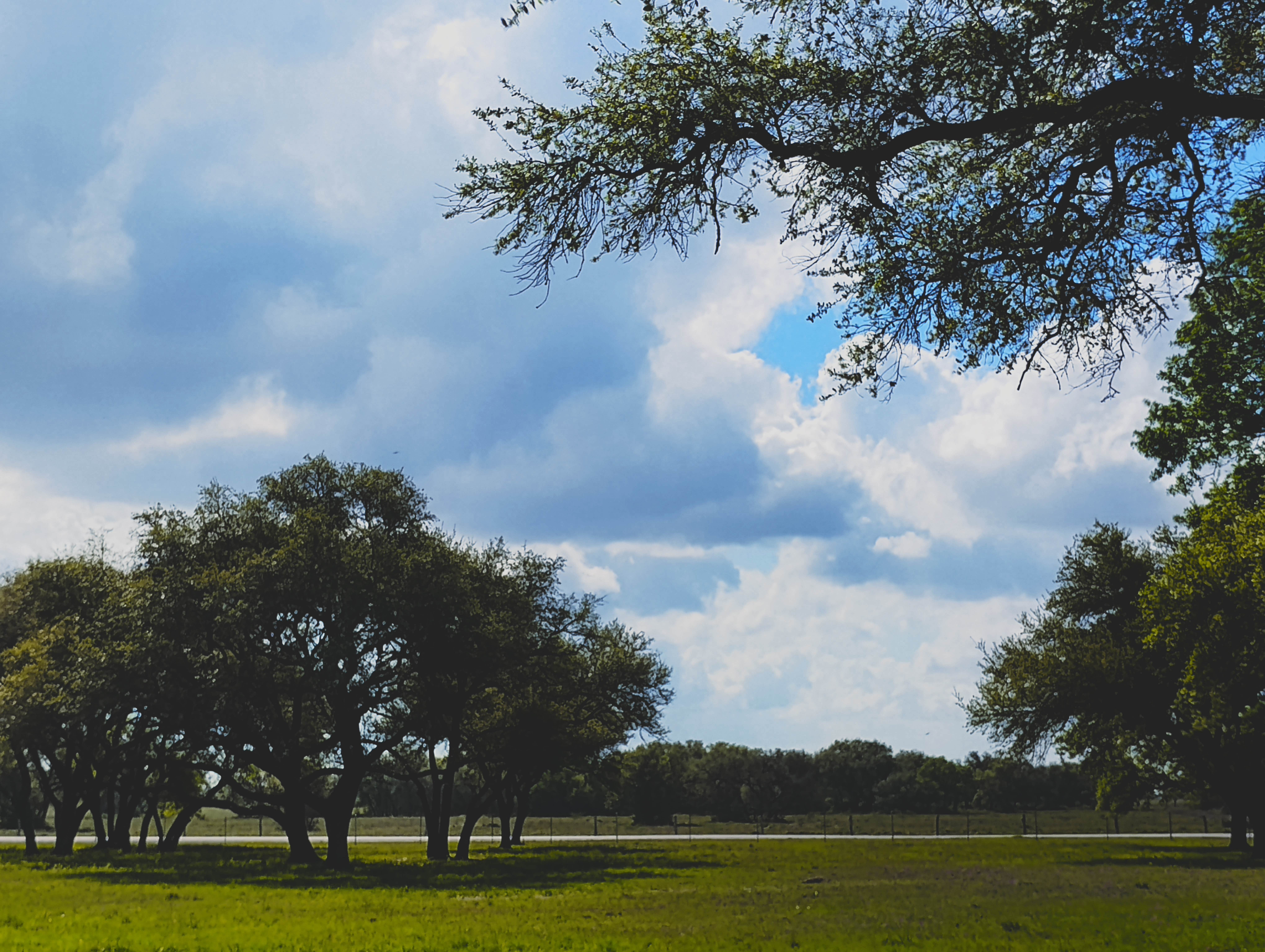 Camper-submitted photo at Coleto Lake RV near Goliad, TX