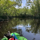 Review photo of Collier–Seminole State Park Campground by Robin B., April 13, 2024