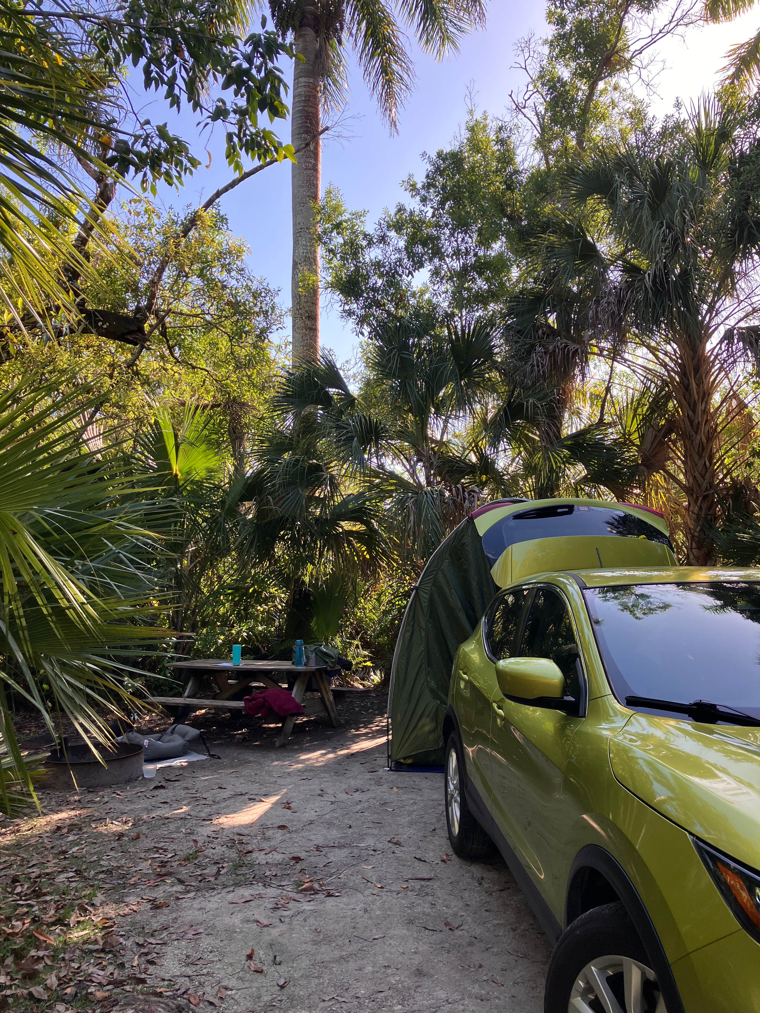 Robin B.'s photo at Collier–Seminole State Park Campground near Everglades City, FL