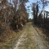 Review photo of Collier–Seminole State Park Campground by Lexi W., February 8, 2024