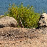 Review photo of Collins Lake Recreation Area by John L., August 20, 2025