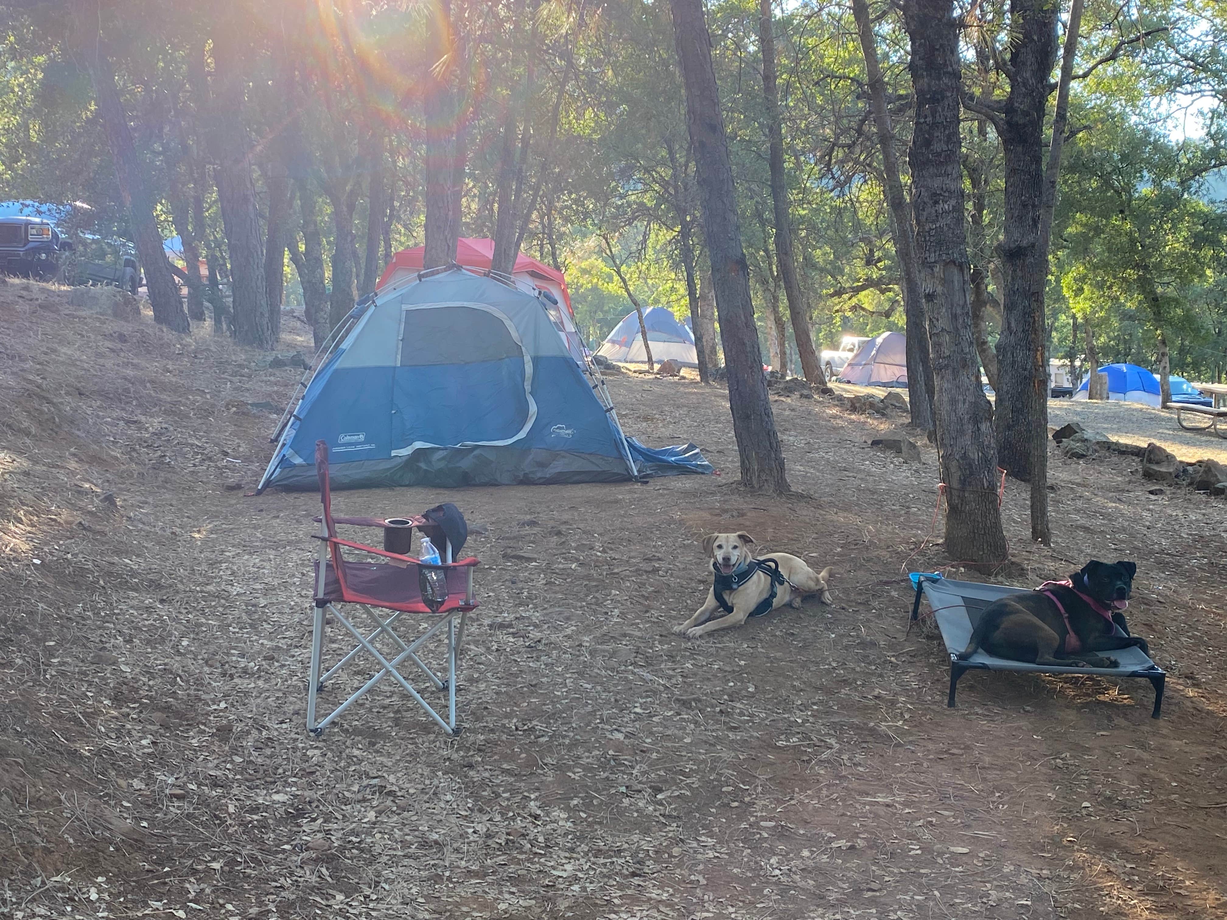 Troy L.'s photo at Collins Lake Recreation Area near Rough and Ready, CA