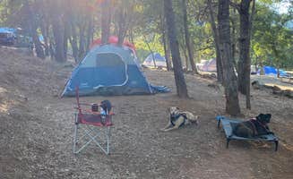 Troy L.'s photo at Collins Lake Recreation Area near Oroville, CA