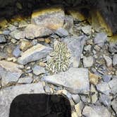 Review photo of Collins Lake Recreation Area by Alivia F., June 22, 2026