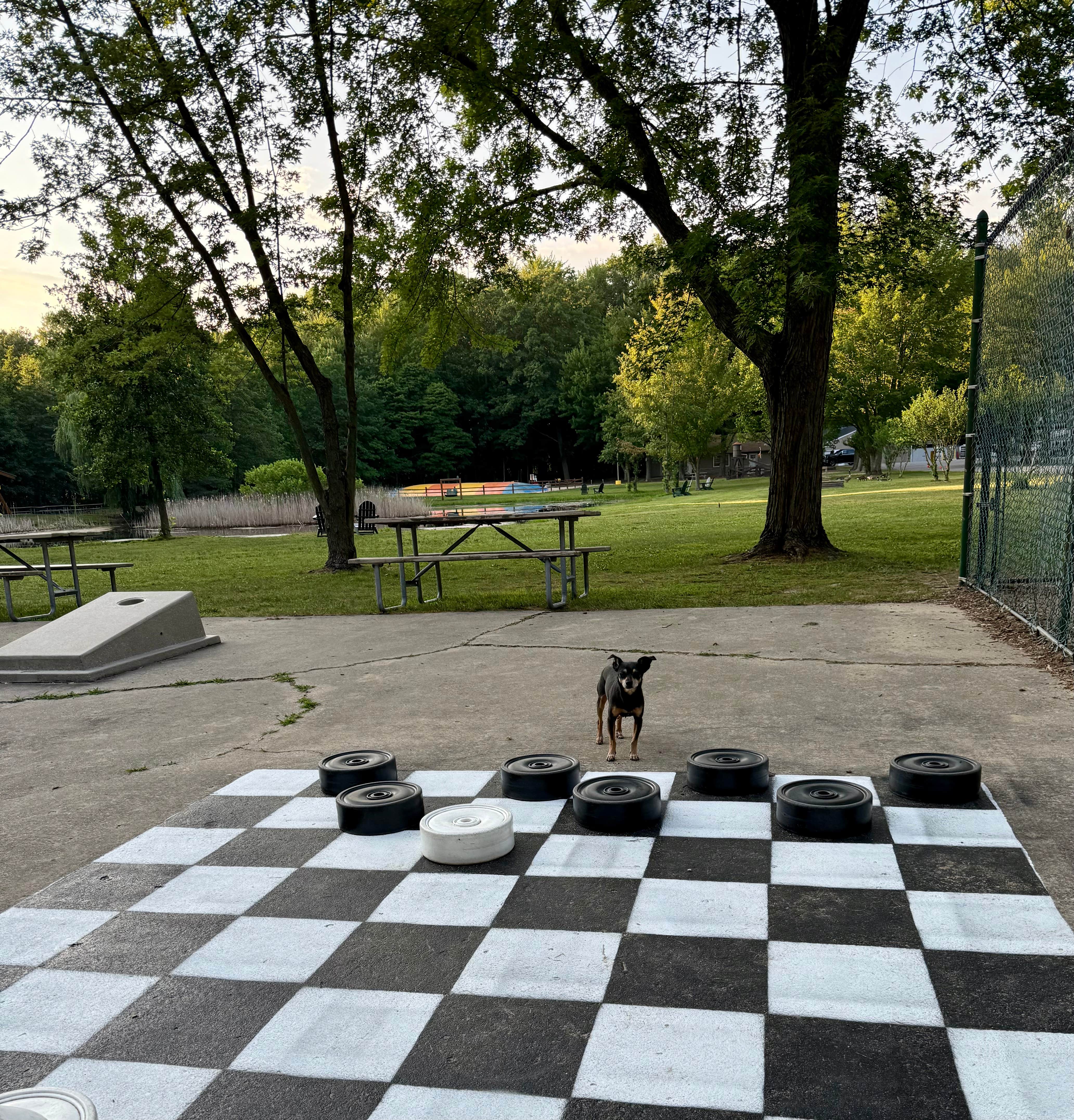Ryan M.'s photo of camping with pets at Coloma/St. Joseph KOA Holiday near South Haven, MI