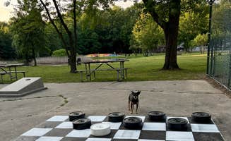 Ryan M.'s photo of camping with pets at Coloma/St. Joseph KOA Holiday near Berrien Springs, MI