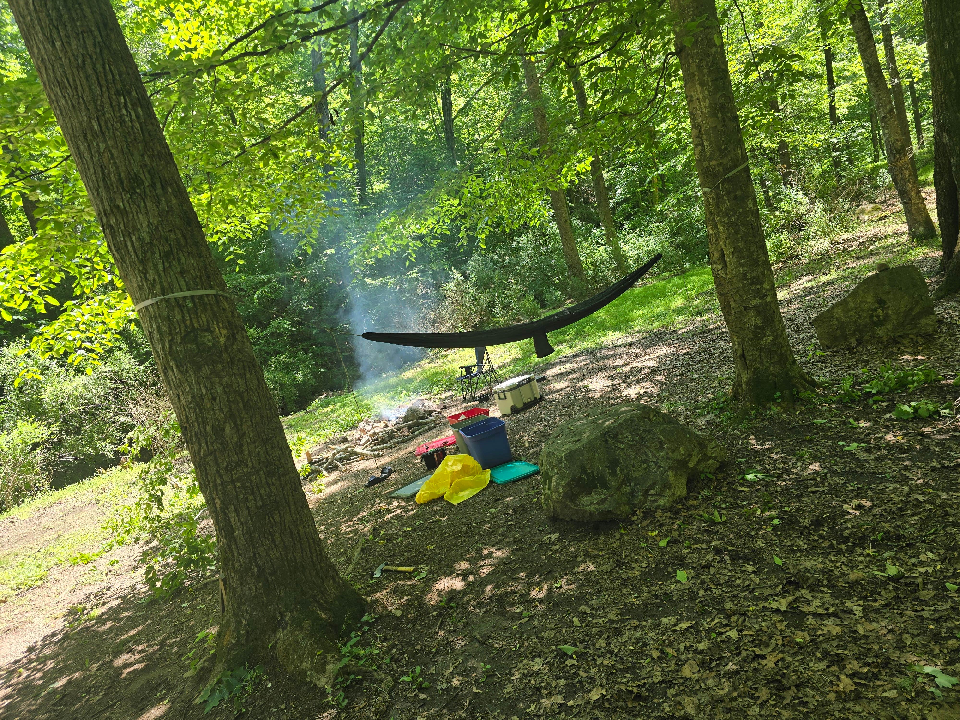 Kieran S.'s photo at Colon Hollow Shelter Campground near Moneta, VA