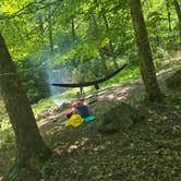 Review photo of Colon Hollow Shelter Campground by Kieran S., June 3, 2026