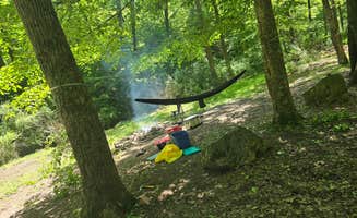 Kieran S.'s photo at Colon Hollow Shelter Campground near Moneta, VA