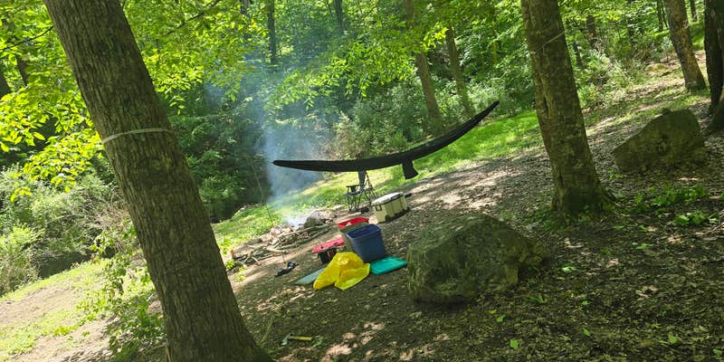 Camper submitted image from Colon Hollow Shelter Campground