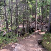 Review photo of Colonial Creek North Campground — Ross Lake National Recreation Area by Mimi N., June 17, 2024