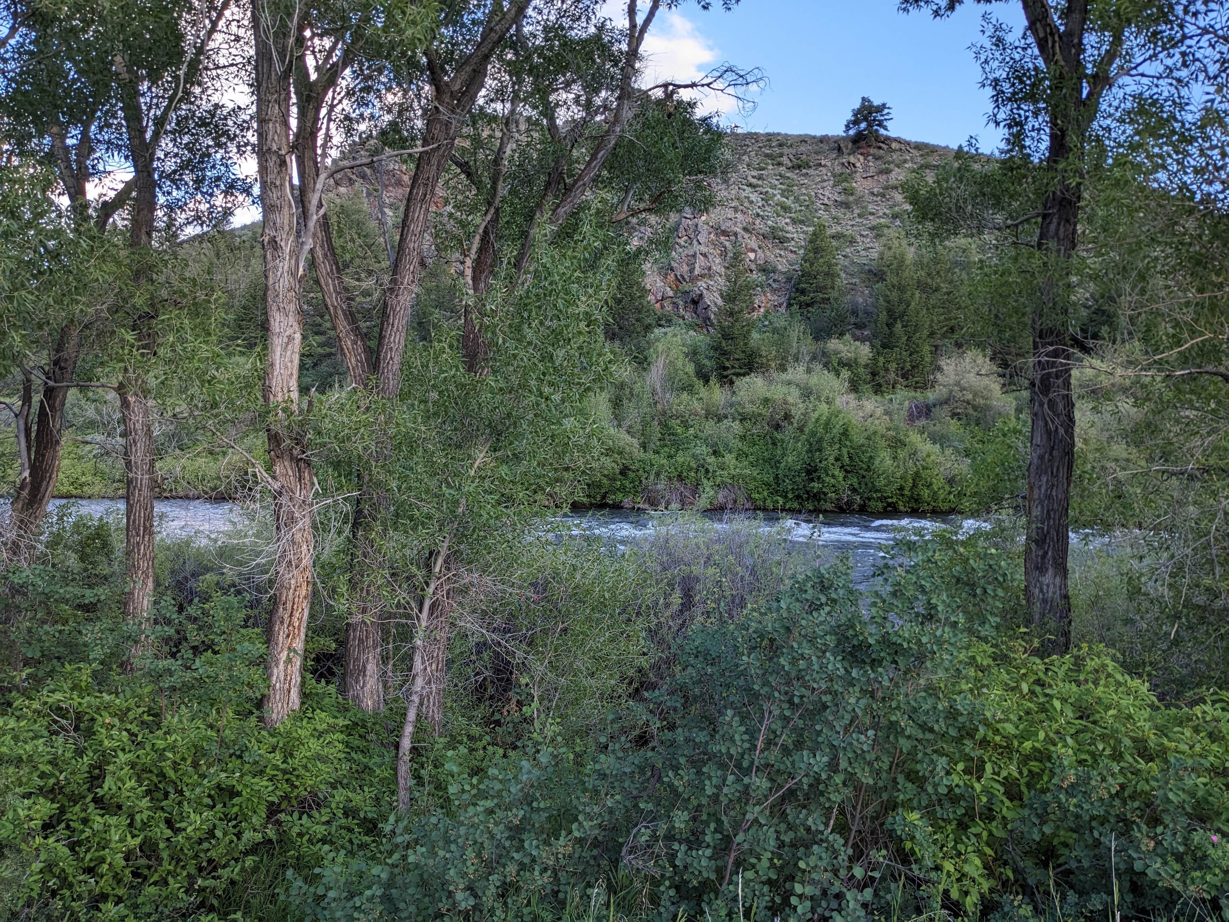 Camper-submitted photo at BLM Almont Campground near Gunnison, CO