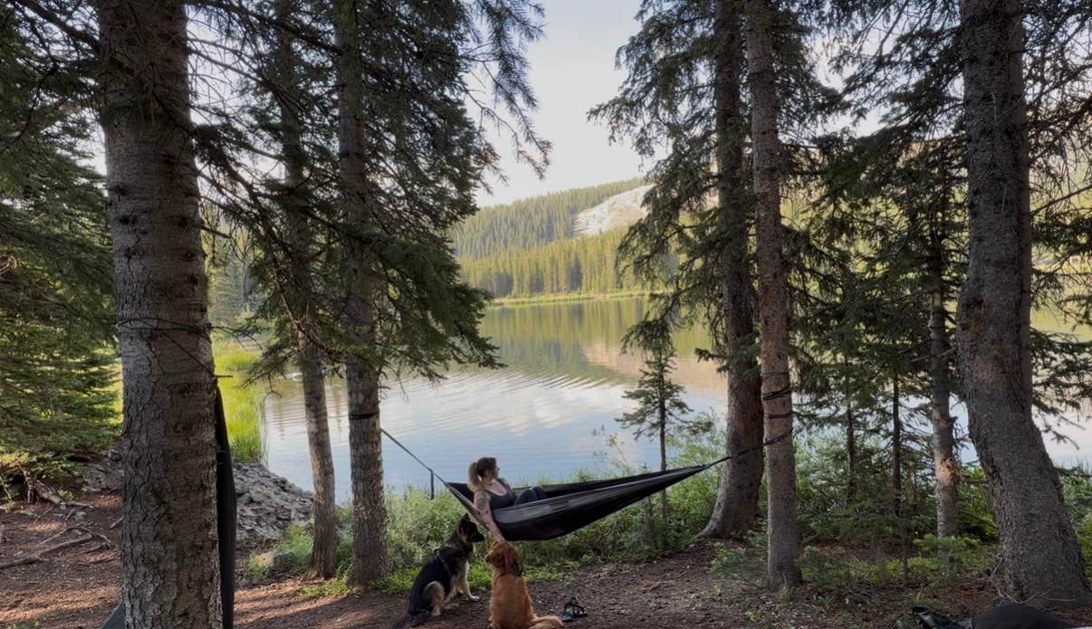Jazzmin O.'s photo of camping with pets at Alta Lakes Campground (Dispersed) near Placerville, CO